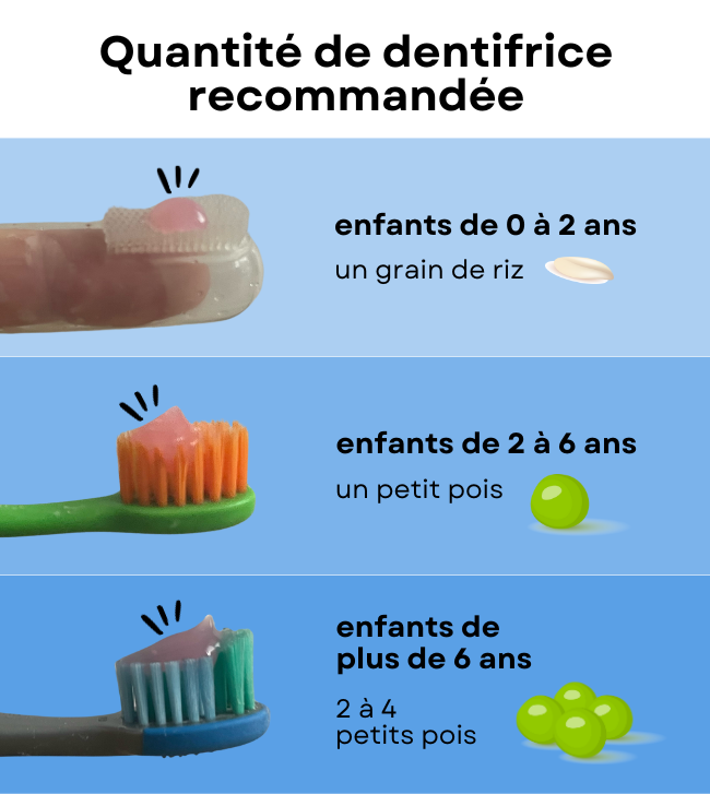 Quantité recommandée de dentifrice